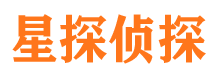 宁明市调查公司